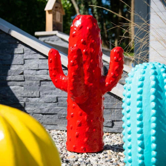 Rode cactus tuinbeeld