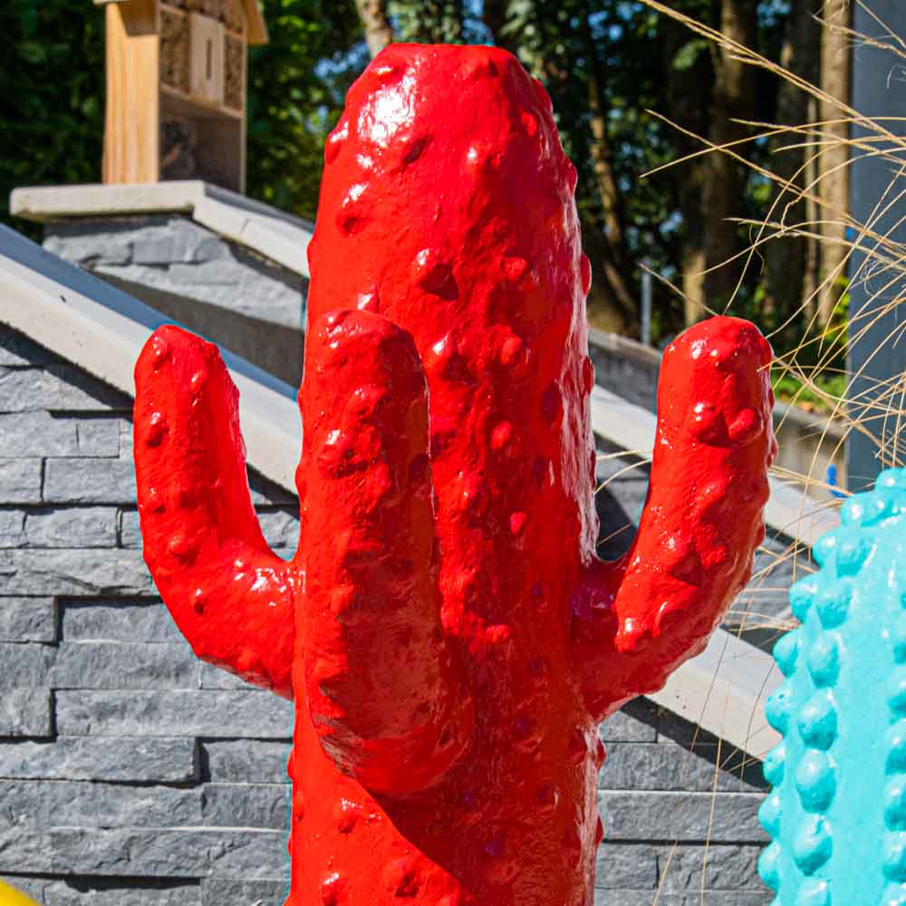 Rode cactus tuinbeeld