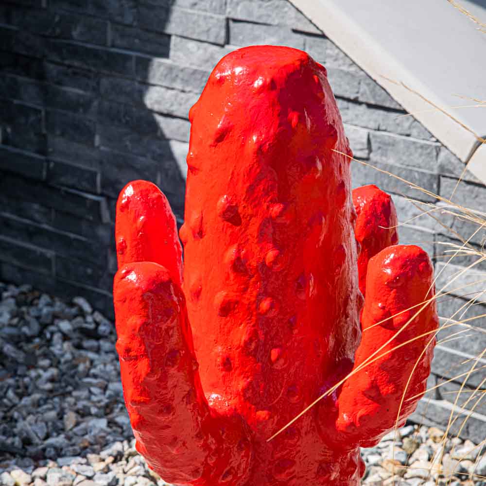 Rode cactus tuinbeeld