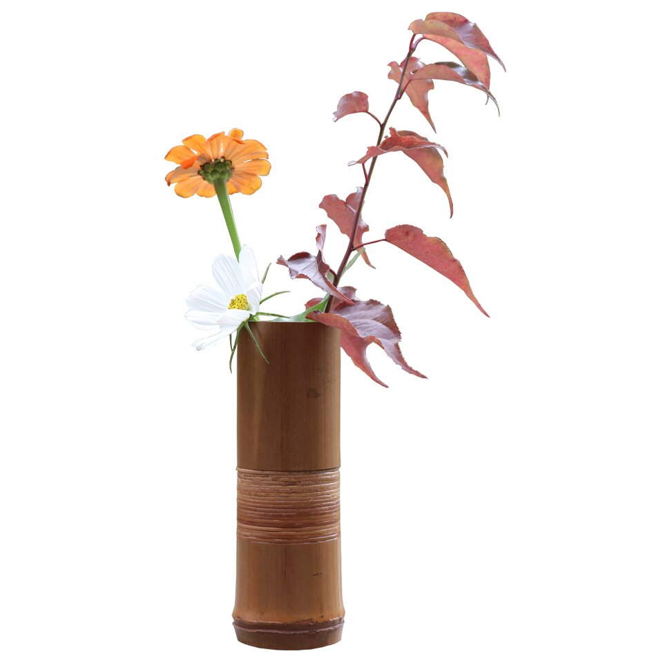 Naturlig japansk bambusvase