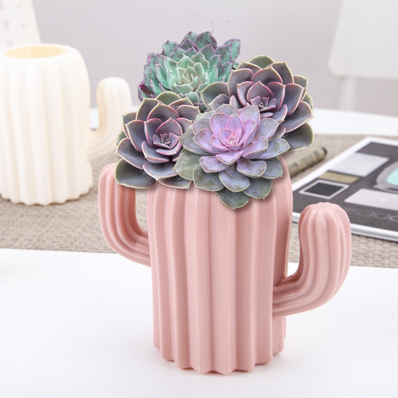 Vaso di cactus rosa